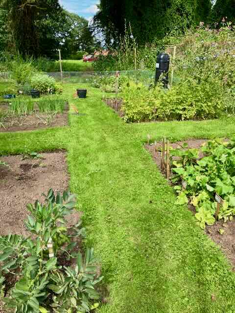 Aldborough Roman Garden