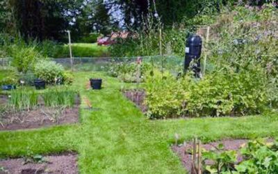 Aldborough Roman Garden